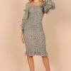 Bonita Shirred Frill Long Sleeve Bodycon Midi Dress - Sage Floral -Fashion Dress petal and pup usa dresses bonita shirred frill long sleeve bodycon midi dress sage floral 32439940022449