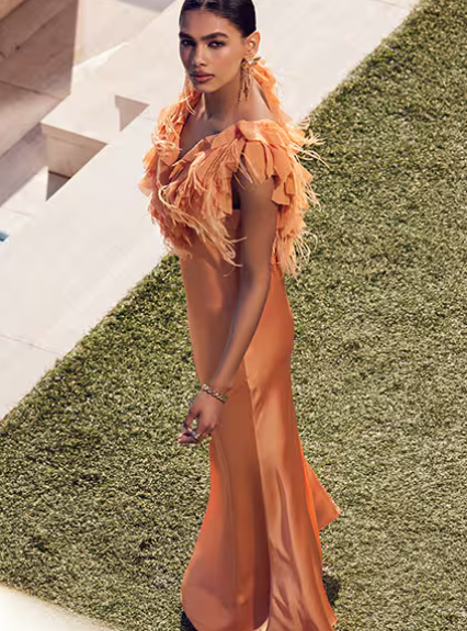 Fashion Dress -Fashion Dress Snipaste 2024 05 18 14 24 13